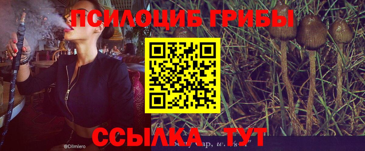 Галлюциногенные грибы Cubensis  Псилоцибиновые грибы ЛСД  Вход с VPN  Ржев 
